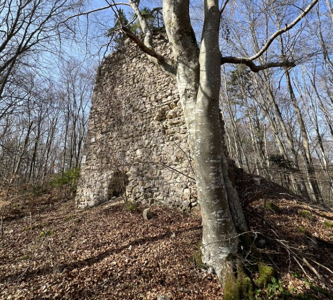 Ruine Hasenfratz, Germany